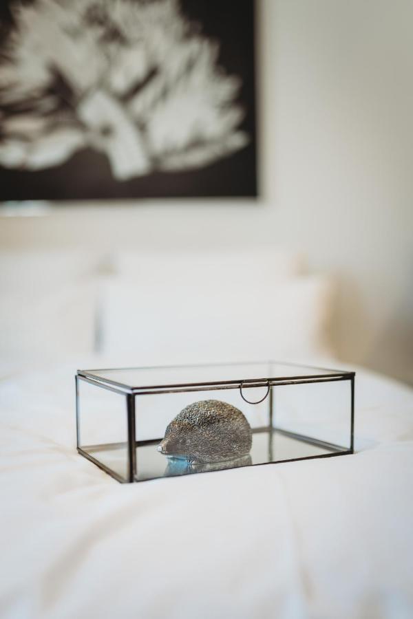 Romantic Jump Overlooking River, Free Parking Apartment Ljubljana